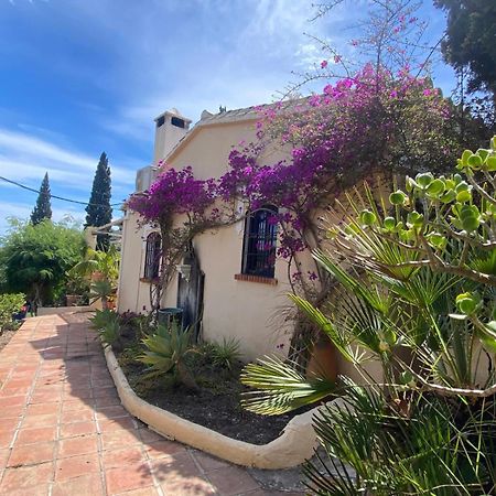 Antigua Finca De Ayo Y Karina Villa ฟรีฮิเลียนา ภายนอก รูปภาพ